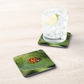 Macro Ladybug Nature Untersetzer Set (Rechte Seite)