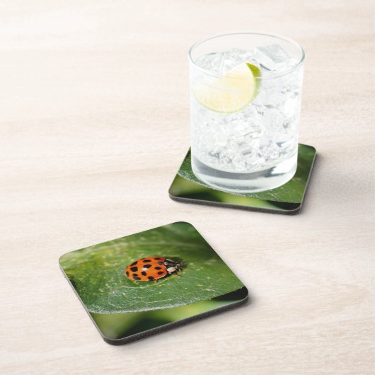 Macro Ladybug Nature Untersetzer Set (Rechte Seite)