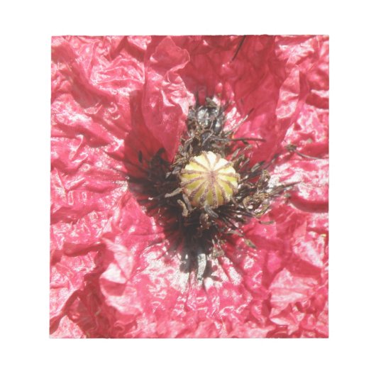 Macro Notepad der hübschen Red Poppe Blume Notizblock (Vorderseite)