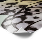 Macro Nymph Butterfly Wing Fotodruck (Ecke)