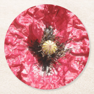 Macro Paper Untersetzer der hübschen Red Poppy Blu