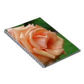 Macro Peach Rose Blume Nature Notizblock (Rechte Seite)