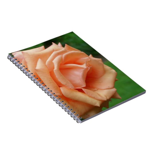 Macro Peach Rose Blume Nature Notizblock (Rechte Seite)