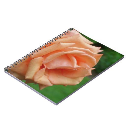 Macro Peach Rose Blume Nature Notizblock (Linke Seite)
