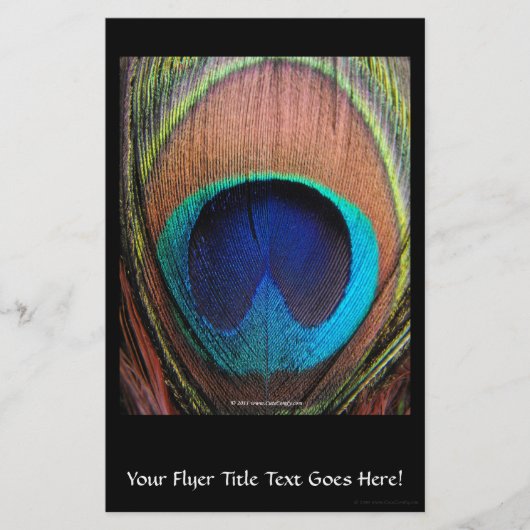 Macro Peacock Feather Rich Blues Fotografie Flyer (Vorne)