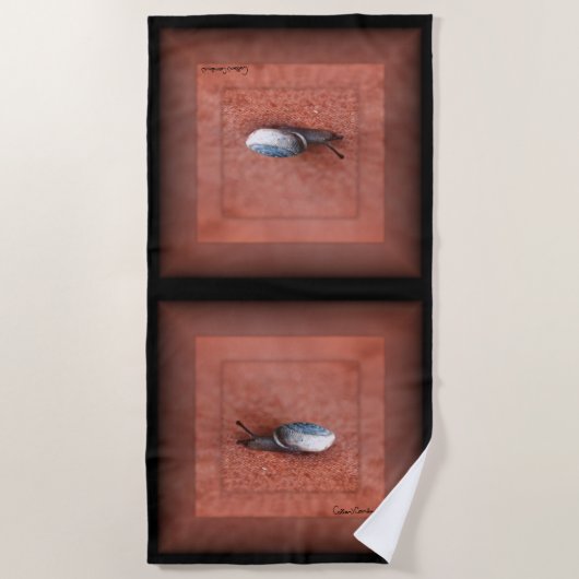 Macro Photograph of Snail on Terracotta Strandtuch (Vorderseite)