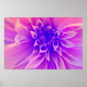 Macro Pink Flower Poster (Vorne)