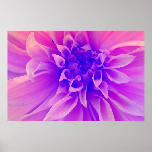 Macro Pink Flower Poster (Vorne)