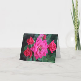 Macro Pink Rose für den Muttertag Feiertagskarte