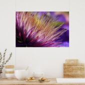 Macro Print Clematis Poster (Küche)