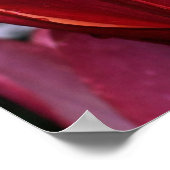 Macro Red Lily Floral Poster Print (Ecke)