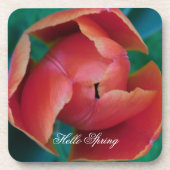 Macro Red Tulip Flower Photography Plastic Coaster Getränkeuntersetzer (Vorderseite)