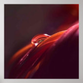 Macro Rotes Blatt Poster (Vorne)