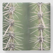 Macro Saguaro Cactus, Arizona, Untersetzer (Vorderseite)