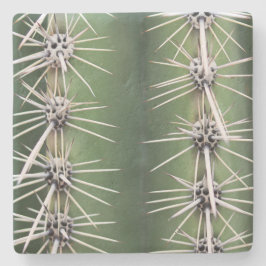 Macro Saguaro Cactus, Arizona, Untersetzer