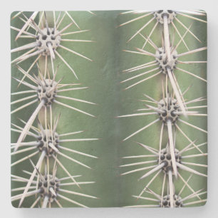 Macro Saguaro Cactus, Arizona, Untersetzer