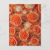 Macro Sea Star Postkarte (Vorderseite)