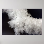 Macro Snowflake Poster (Vorne)