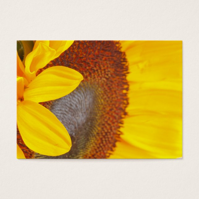 Macro Sunflower Visitenkarte (Vorderseite)