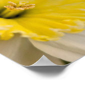 Macro Up Close Yellow Daffodil Flower Photography Poster (Ecke)