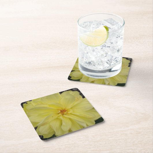 Macro Yellow Dahlia Blume Rechteckiger Pappuntersetzer (Vor Ort)