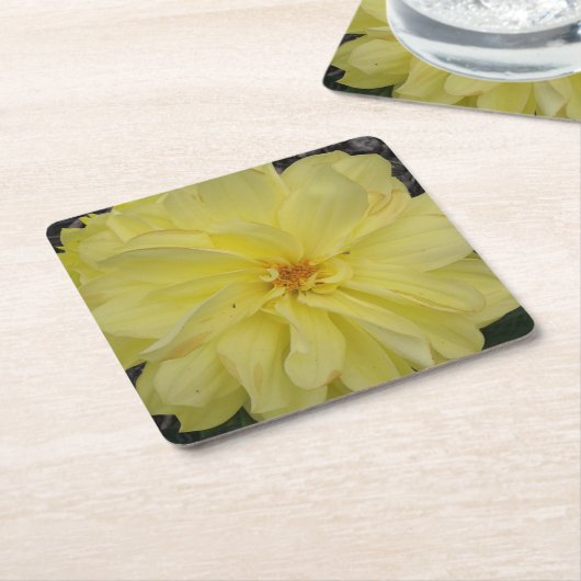 Macro Yellow Dahlia Blume Rechteckiger Pappuntersetzer (angewinkelt)