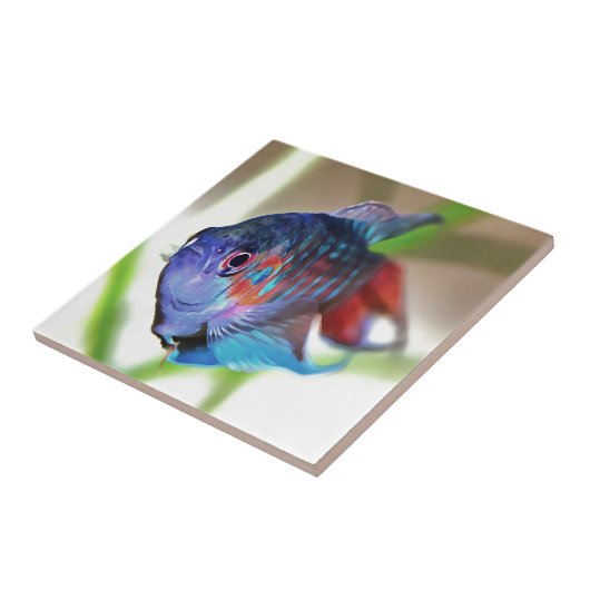 Macropodus Opercularis Aquarium Fisch Fliese (Seite)