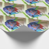 Macropodus Opercularis Aquarium Fisch Geschenkpapier (Ecke)