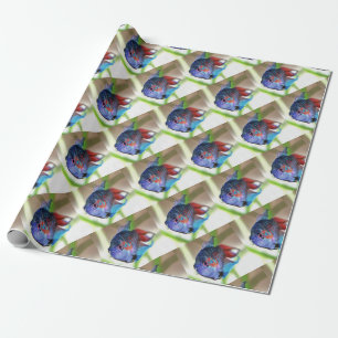Macropodus Opercularis Aquarium Fisch Geschenkpapier