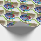 Macropodus Opercularis Aquarium Fisch Geschenkpapier (Ecke)