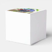 Macropodus Opercularis Aquarium Fisch Geschenkschachtel (Rückseite)