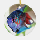 Macropodus Opercularis Aquarium Fisch Keramikornament (Vorne)