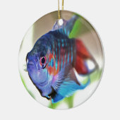 Macropodus Opercularis Aquarium Fisch Keramikornament (Links)