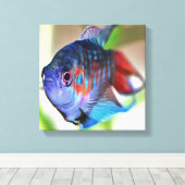 Macropodus Opercularis Aquarium Fisch Leinwanddruck (Insitu (Holzboden))