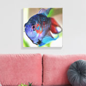 Macropodus Opercularis Aquarium Fisch Leinwanddruck (Insitu (Wohnzimmer))
