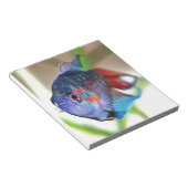 Macropodus Opercularis Aquarium Fisch Notizblock (angewinkelt)