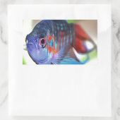 Macropodus Opercularis Aquarium Fisch Rechteckiger Aufkleber (Tasche)
