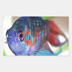 Macropodus Opercularis Aquarium Fisch Rechteckiger Aufkleber