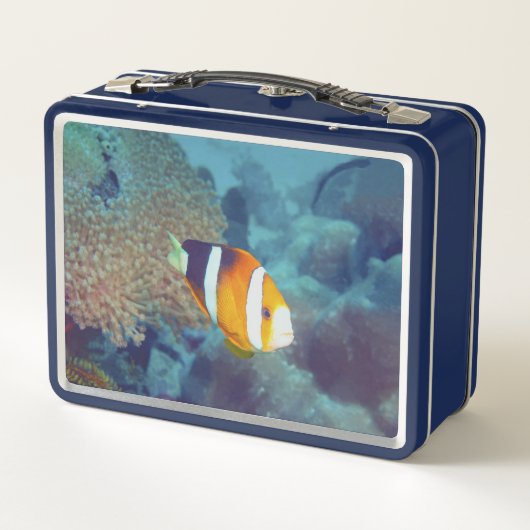 Mactan Channel Cebu Island Philippinen Clownfisch Metall Brotdose (Rückseite)