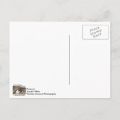 Macy Will Kaffee zu Postkarte (Rückseite)