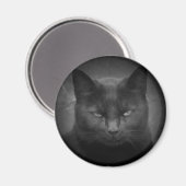 Mad Black Cat Spotlight Magnet (Vorderseite/Rückseite)