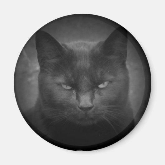 Mad Black Cat Spotlight Magnet (Vorne)