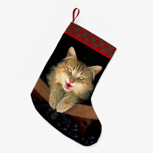 Mad Cat Painting - Niedliche Original Cat Art Kleiner Weihnachtsstrumpf