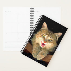 Mad Cat Painting - Niedliche Original Cat Art Planer