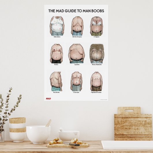 MAD Guide to Man B**bs Poster (Küche)