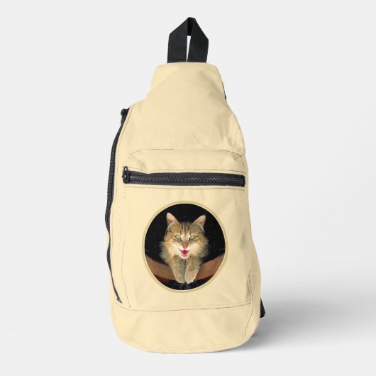 Mad Tabby Cat Portrait Malerei Niedliche Originell Crossbody Bag (Vorderseite)