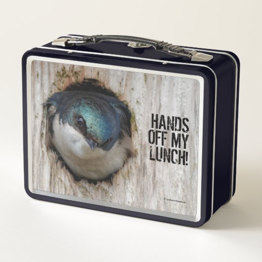 Mad Tree Swallow Songbird in Nestbox Metall Brotdose (Rückseite)