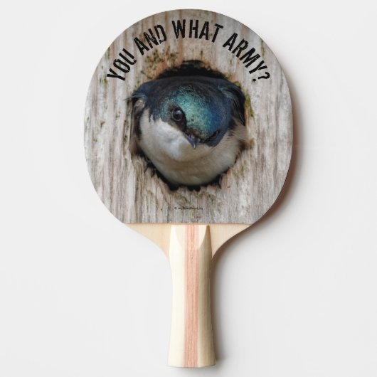 Mad Tree Swallow Songbird in Nestbox Tischtennis Schläger (Vorderseite)