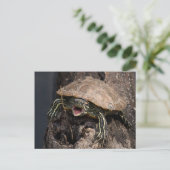 Mad Turtle Postcard Postkarte (Stehend Vorderseite)