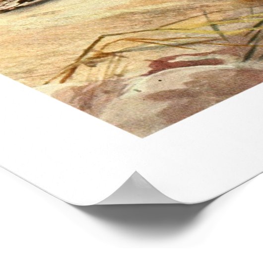 Madagascan Boa Poster (Ecke)